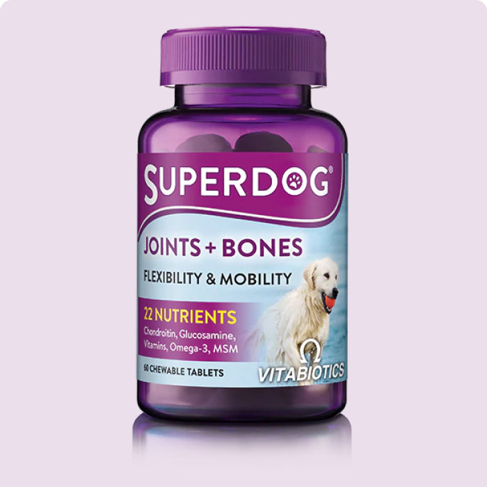 SuperDog Joints & Bones